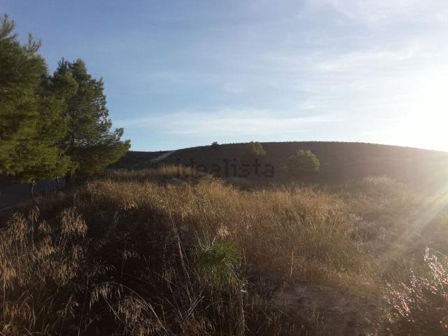 Terreno, San Juan, Aspe