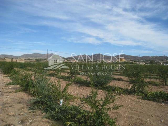 Terreno, San Juan, Aspe