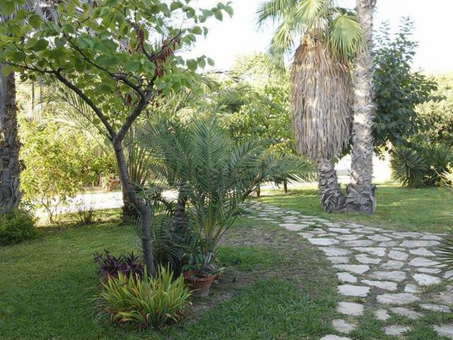 Terreno, San Juan de Alicante