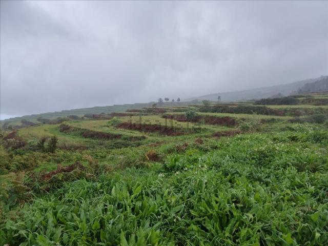 Terreno, San Juan de la Rambla