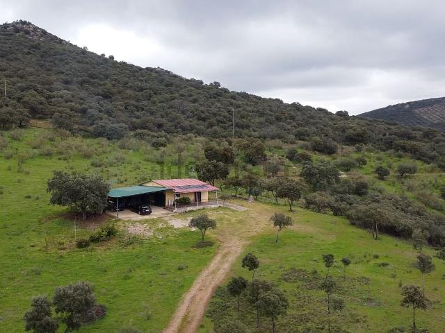 Terreno, San Lorenzo de Calatrava