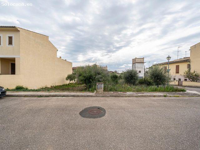 Terreno San Lorenzo
