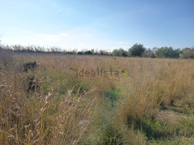 Terreno, San Rafael del Río