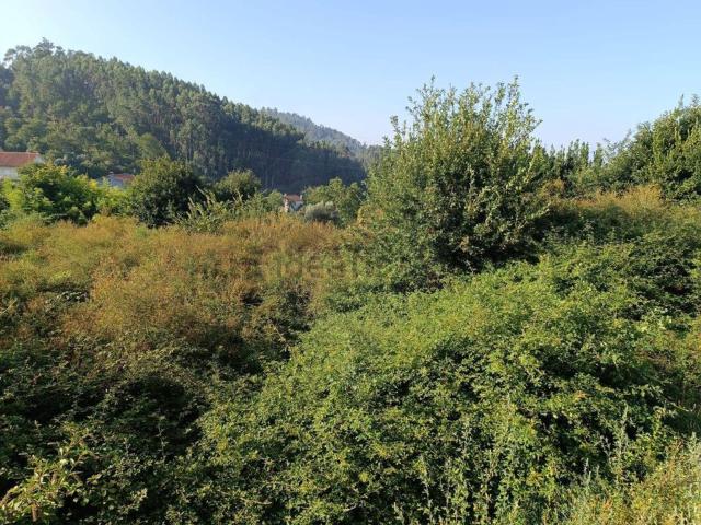 Terreno, Sande Vilarinho Barros Gomide