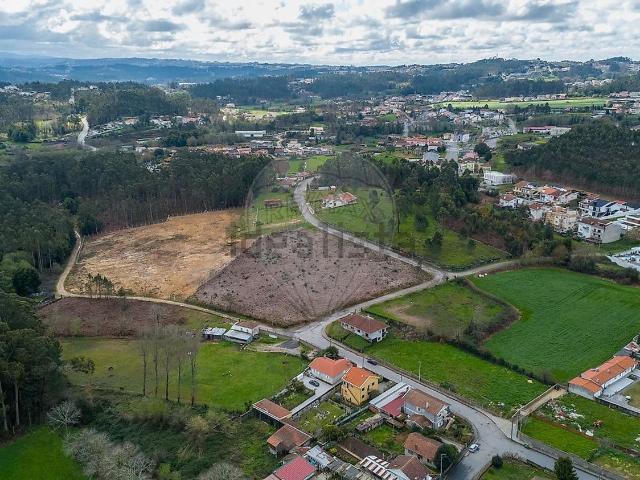 Terreno, Olival