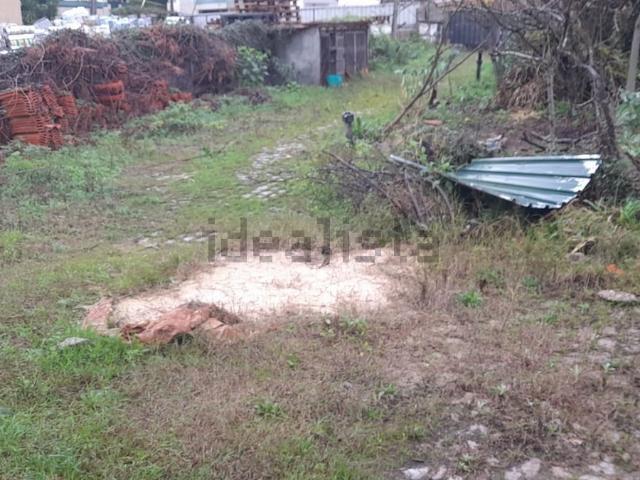 Terreno, Crestuma