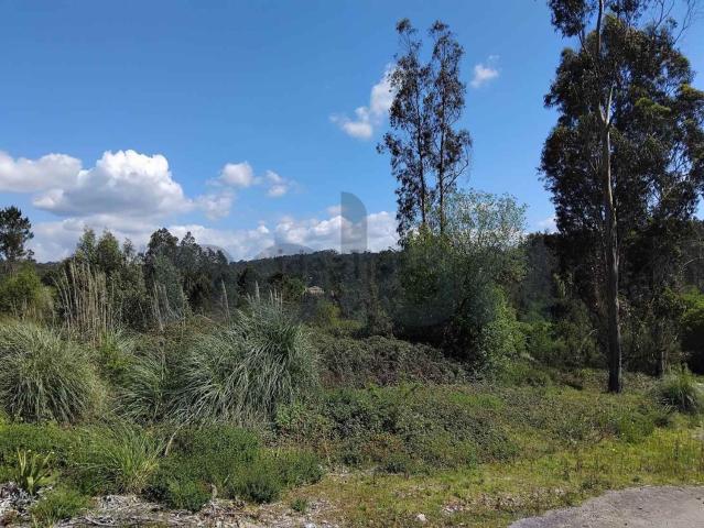 Terreno, Sandim