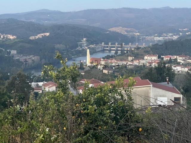 Terreno, Crestuma