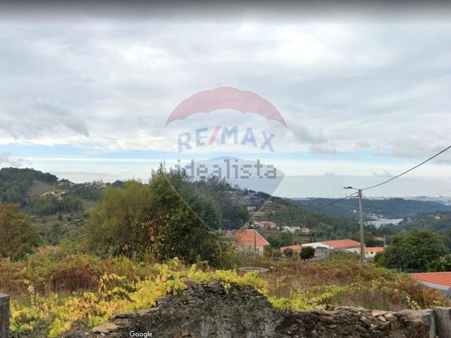 Terreno, Olival