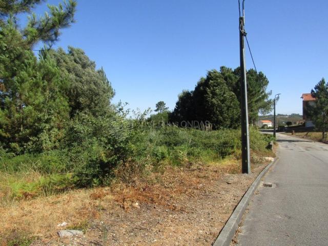 Terreno, Sandim