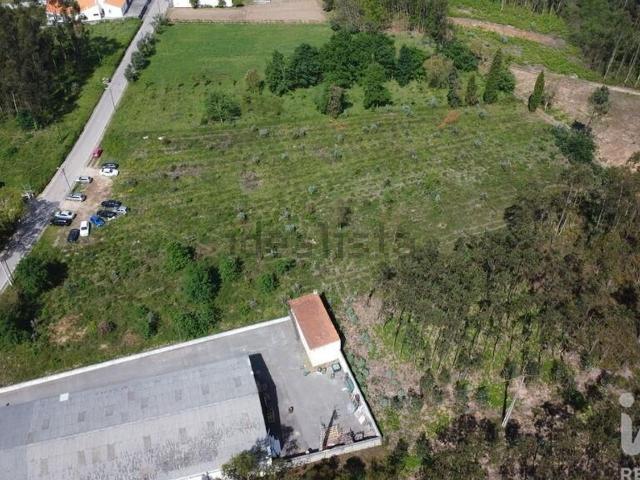 Terreno, Sangalhos