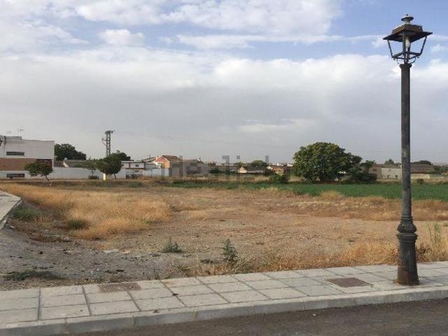 Terreno, Sant Carles de la Rápita