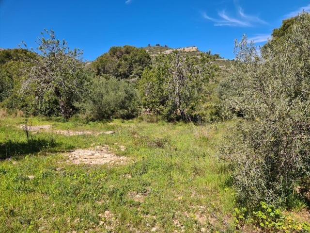 Terreno, Sant Carles de la Rápita
