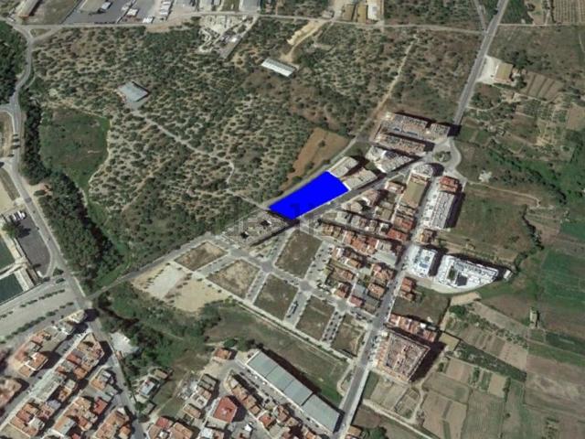 Terreno, Sant Carles de la Rápita