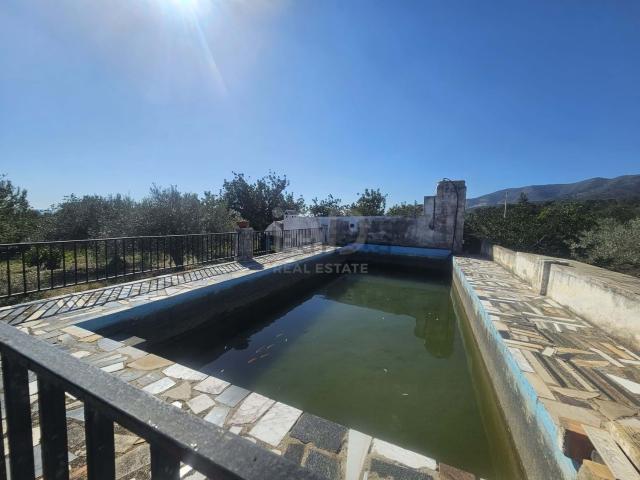 Terreno, Sant Carles de la Rápita