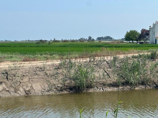 Terreno, Sant Carles de la Rápita