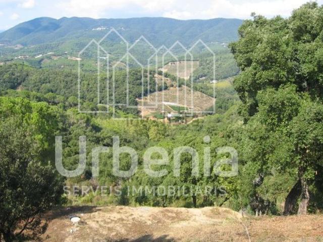 Terreno, Sant Cebrià de Vallalta
