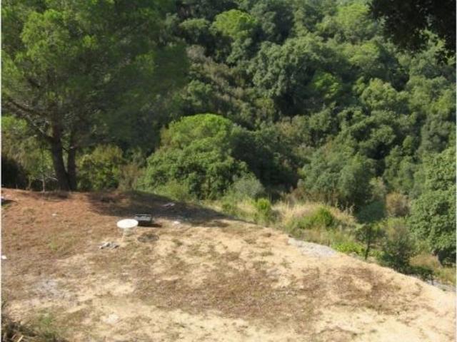 Terreno, Sant Cebrià de Vallalta