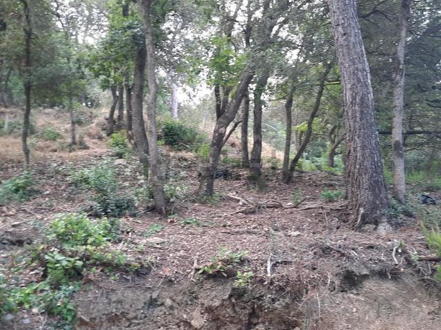 Terreno, Sant Cugat del Vallès