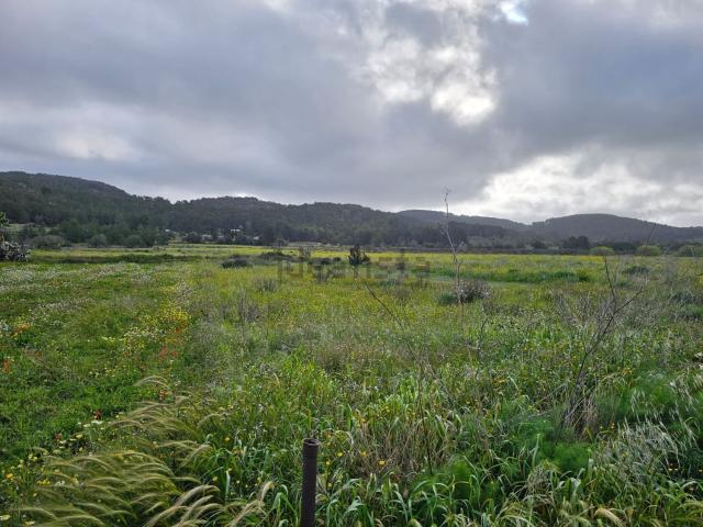 Terreno, Sant Antoni de Portmany