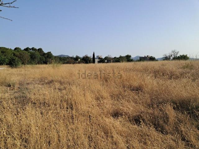 Terreno, Sant Antoni de Portmany
