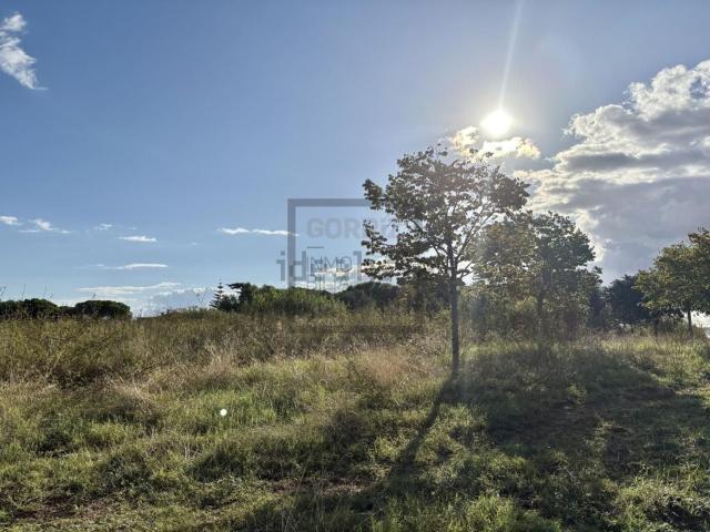 Terreno, Sant Andreu de Llavaneres