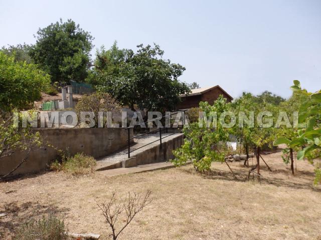 Terreno, Sant Boi de Llobregat