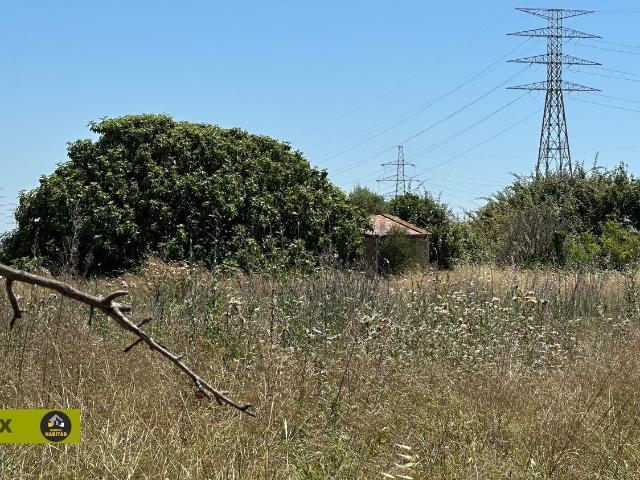 Terreno, Sant Boi de Llobregat