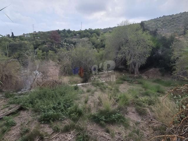 Terreno, Sant Boi de Llobregat