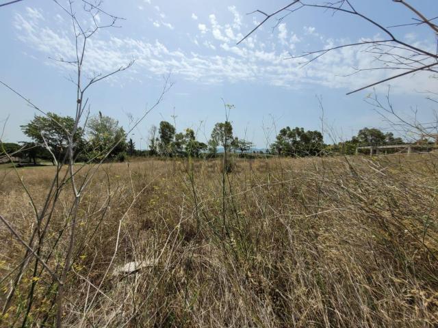 Terreno, Sant esteve Sesrovires