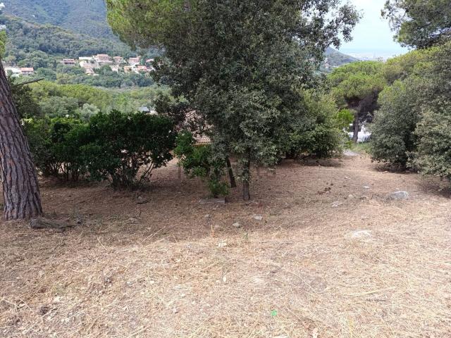 Terreno, Sant Fost de Campsentelles
