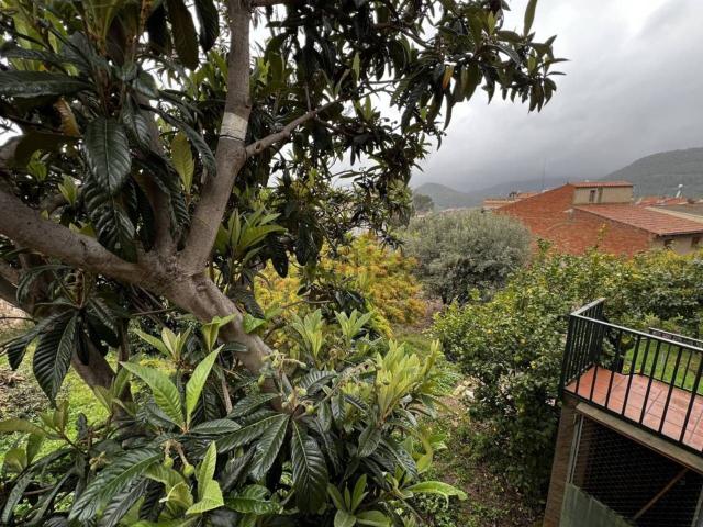 Terreno, Sant Feliu de Codines