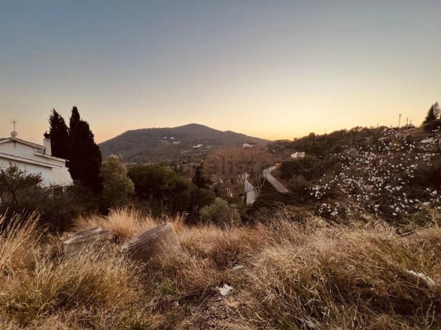 Terreno, Sant Feliu de Codines