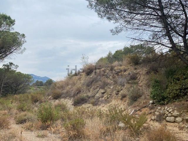 Terreno, Sant Feliu de Codines