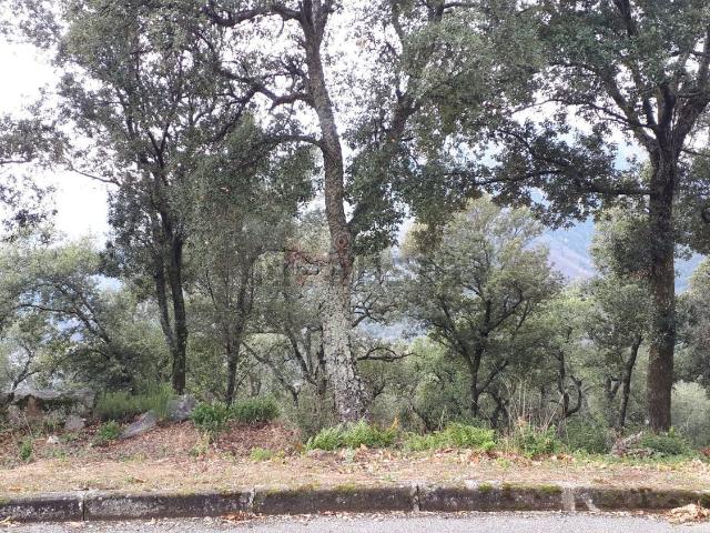 Terreno, Sant Feliu de Buixalleu