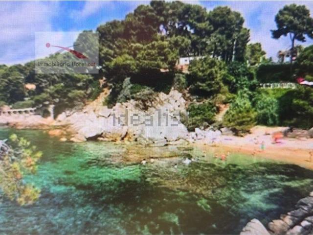 Terreno, Sant Feliu de Guíxols