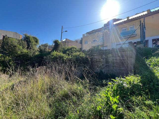Terreno, Sant Feliu de Guíxols