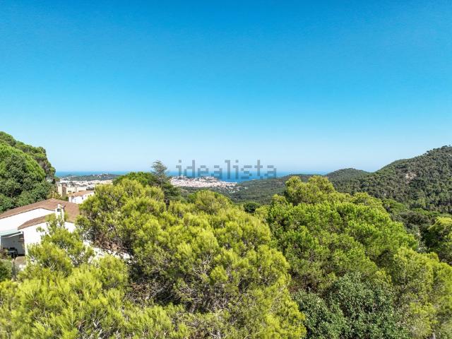 Terreno, Sant Feliu de Guíxols