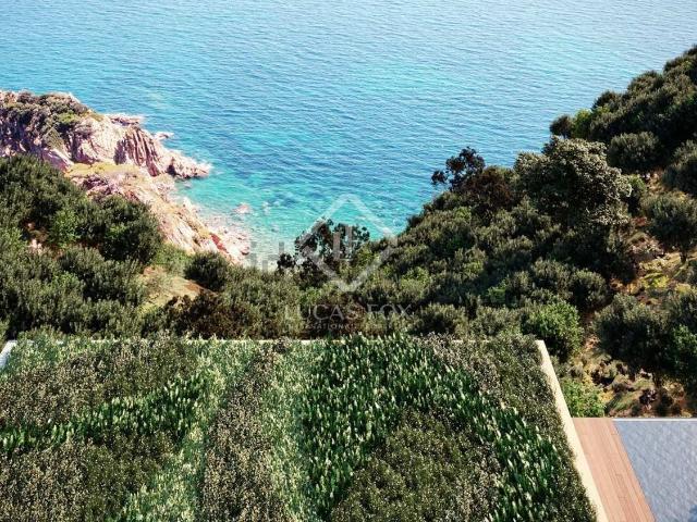 Terreno, Sant Feliu de Guíxols
