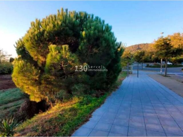 Terreno, Sant Feliu de Guíxols