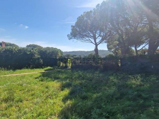 Terreno, Sant Feliu de Guíxols