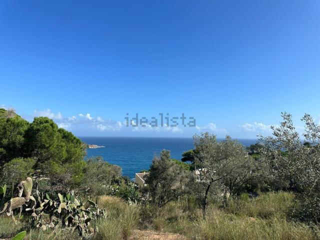 Terreno, Sant Feliu de Guíxols