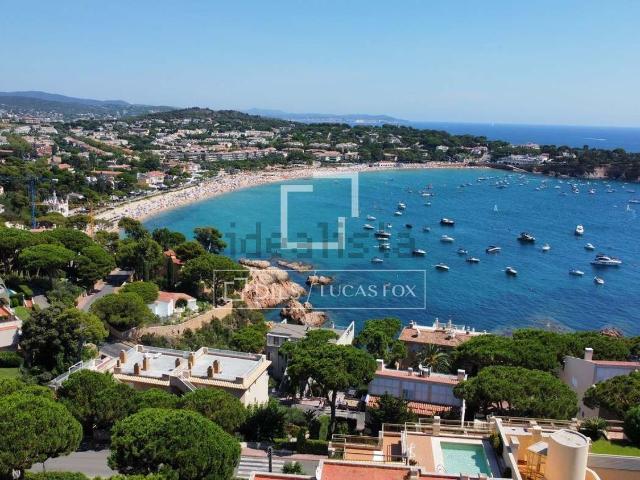 Terreno, Sant Feliu de Guíxols