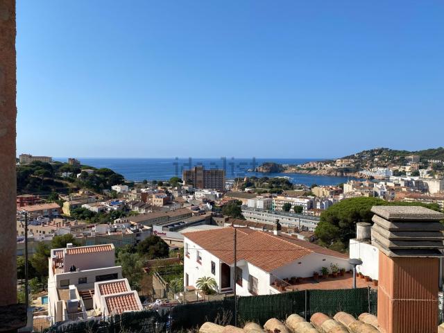 Terreno, Sant Feliu de Guíxols