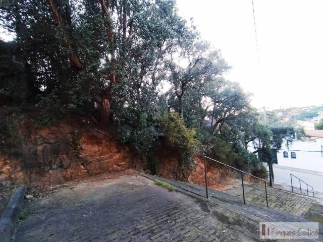 Terreno, Sant Feliu de Guíxols