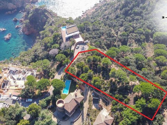 Terreno, Sant Feliu de Guíxols