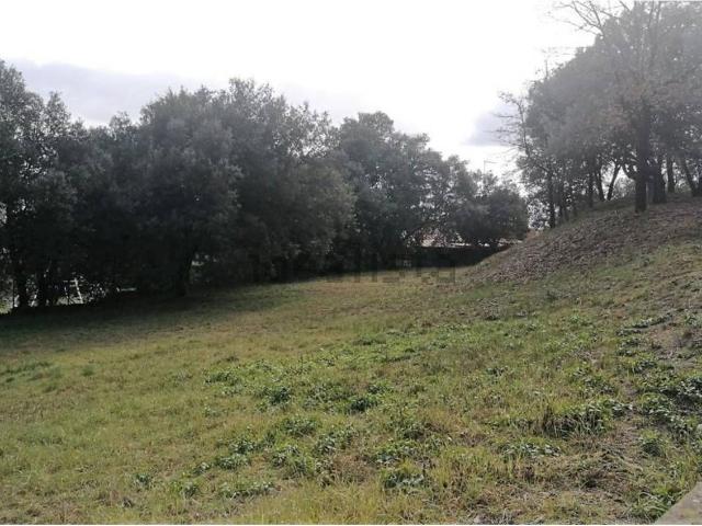Terreno, Sant Fruitós de Bages