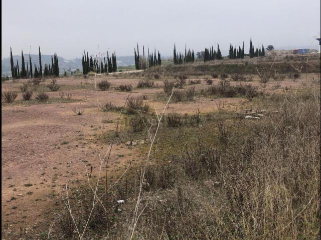 Terreno, Sant Fruitós de Bages