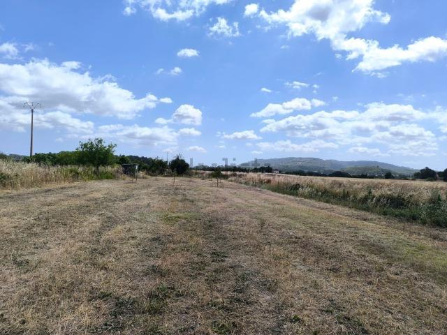 Terreno, Sant Joan