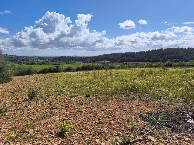Terreno, Sant Joan